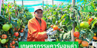 ‘ไบเออร์’ พลิกมิตินำวิถีเกษตรกรรมคาร์บอนต่ำ ยกระดับแปลงปลูก ลดต้นทุนการผลิต