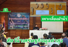 กรมประมงจับมือภาคเอกชน จัดคอร์สติวเข้ม ปั้น “ม้าน้ำ” สู่สัตว์น้ำเศรษฐกิจมูลค่า สูง ลุยเสริมศักยภาพให้เกษตรกร 5 จ. อันดามัน เร่งเพาะเลี้ยง – แปรรูป เพื่อขยายกำลังการผลิต รองรับตลาดการส่งออก และลดการจับจากธรรมชาติ