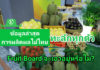 ข้อมูลล่าสุด..การผลิตผลไม้ 4 ชนิดล้นทะลัก Fruit Board จะเอาอยู่หรือไม่?