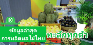 ข้อมูลล่าสุด..การผลิตผลไม้ 4 ชนิดล้นทะลัก Fruit Board จะเอาอยู่หรือไม่?