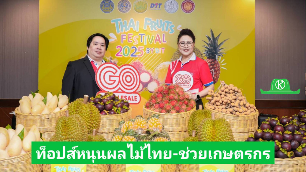 โก โฮลเซลล์ ตอบรับนโยบายภาครัฐ ช่วยเหลือเกษตรกรระบายผลผลิต
ปีนี้ตั้งเป้ารับซื้อผลไม้กว่า 5 ล้านกิโลกรัม บรรเทาสินค้าล้นตลาด สร้างรายได้ชาวสวน