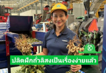 นางสาวศิริกร วิวรวงษ์ รองผู้อำนวยการสำนักงานพัฒนาการวิจัยการเกษตร