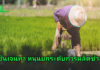 ซินเจนทา หนุนประเทศไทยมุ่งใช้นวัตกรรมและเทคโนโลยี ยกระดับการผลิตข้าว เสริมแกร่งฐานะผู้นำส่งออกและขับเคลื่อนความมั่นคงอาหารโลก
