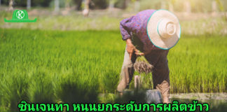 ซินเจนทา หนุนประเทศไทยมุ่งใช้นวัตกรรมและเทคโนโลยี ยกระดับการผลิตข้าว เสริมแกร่งฐานะผู้นำส่งออกและขับเคลื่อนความมั่นคงอาหารโลก