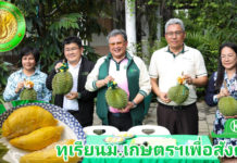 ม.เกษตรฯ เผยเทคนิคปลูกทุเรียนให้ได้ผลผลิตเพิ่ม 2 เท่า ความรู้ที่ได้มอบแก่สังคม ส่วนผลผลิตมอบโรงพยาบาล