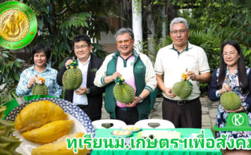ม.เกษตรฯ เผยเทคนิคปลูกทุเรียนให้ได้ผลผลิตเพิ่ม 2 เท่า ความรู้ที่ได้มอบแก่สังคม ส่วนผลผลิตมอบโรงพยาบาล