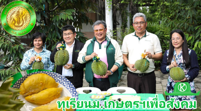 ม.เกษตรฯ เผยเทคนิคปลูกทุเรียนให้ได้ผลผลิตเพิ่ม 2 เท่า ความรู้ที่ได้มอบแก่สังคม ส่วนผลผลิตมอบโรงพยาบาล