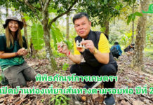 พิพิธภัณฑ์การเกษตรฯ เปิดบ้านท่องเที่ยวเส้นทางตามรอยพ่อ ปีที่ 2 นำทัพสื่อเยี่ยมชมความสำเร็จศูนย์เรียนรู้เครือข่ายพิพิธภัณฑ์ภาคตะวันออก