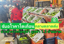 ฉก.พญานาคราช จับอโวคาโดเถื่อนในตลาดค้าส่งสินค้าเกษตรย่านปทุมธานี จำนวน 11 ตัน มูลค่ารวม 1.2 ล้านบาท