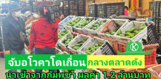 ฉก.พญานาคราช จับอโวคาโดเถื่อนในตลาดค้าส่งสินค้าเกษตรย่านปทุมธานี จำนวน 11 ตัน มูลค่ารวม 1.2 ล้านบาท