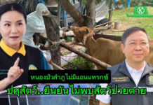 “ปศุสัตว์” ยืนยันไม่พบสัตว์ป่วย-ตายจากแอนแทรกซ์ในหนองบัวลำภู
