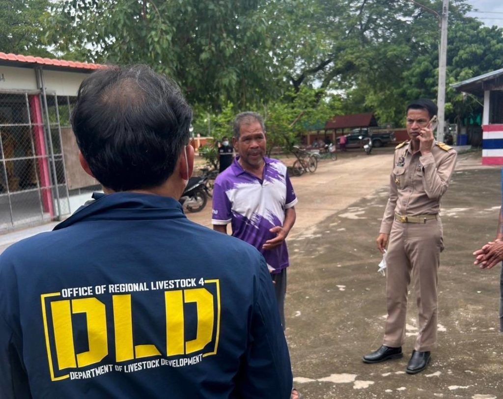 “ปศุสัตว์” ยืนยันไม่พบสัตว์ป่วย-ตายจากแอนแทรกซ์ในหนองบัวลำภู