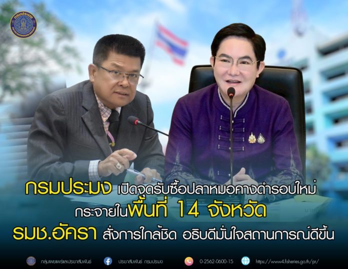 กรมประมง เปิดจุดรับซื้อปลาหมอคางดำรอบใหม่ กระจายในพื้นที่ 14 จังหวัด