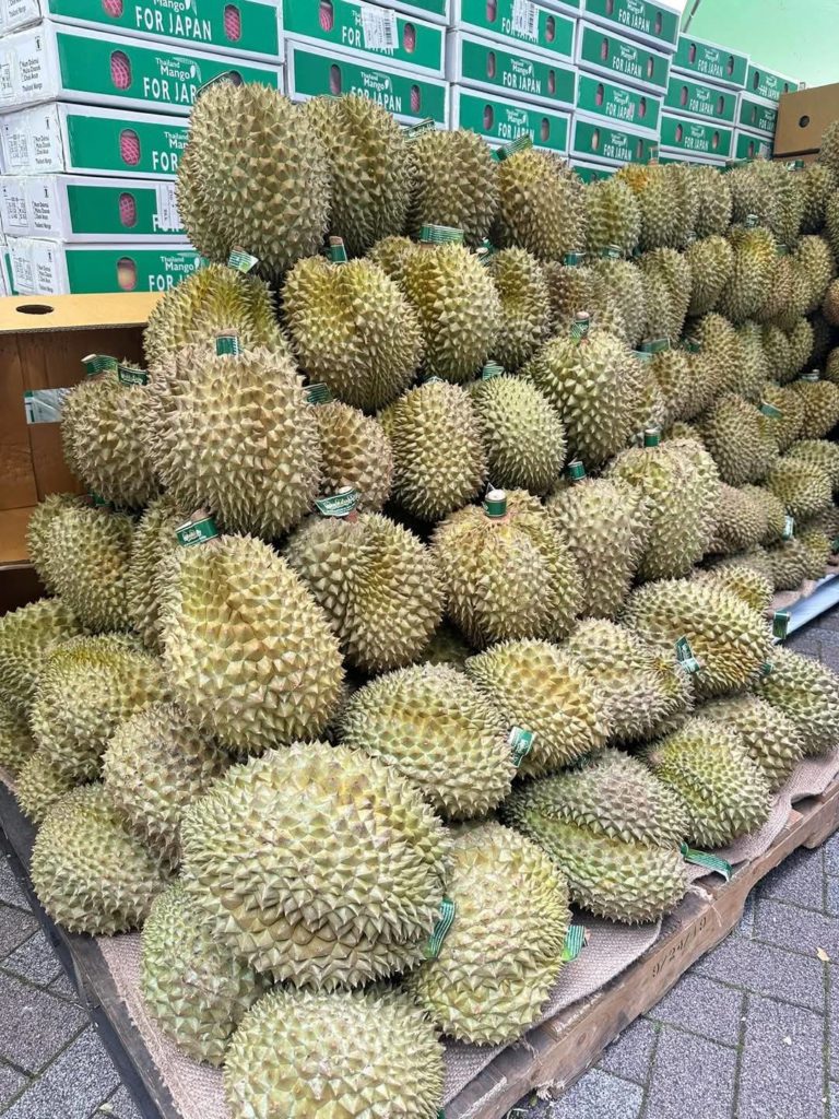 ทุเรียนไทย แจ้งเกิดที่งาน Thai festival Tokyo 2025 ประเทศญี่ปุ่น