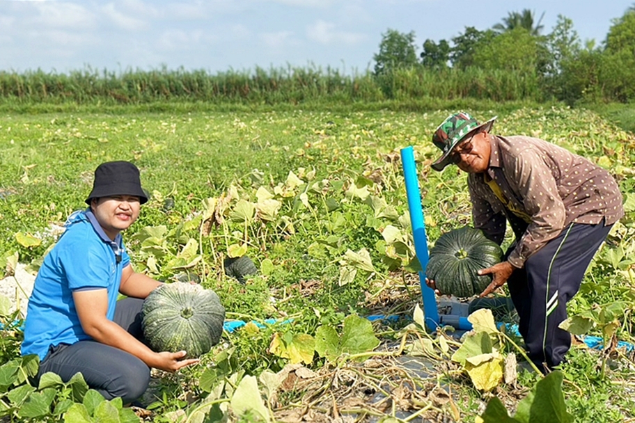 CPF ปันน้ำปุ๋ยสู่เกษตรกร ลดเสี่ยงภัยแล้ง ลดต้นทุน เพิ่มผลผลิต