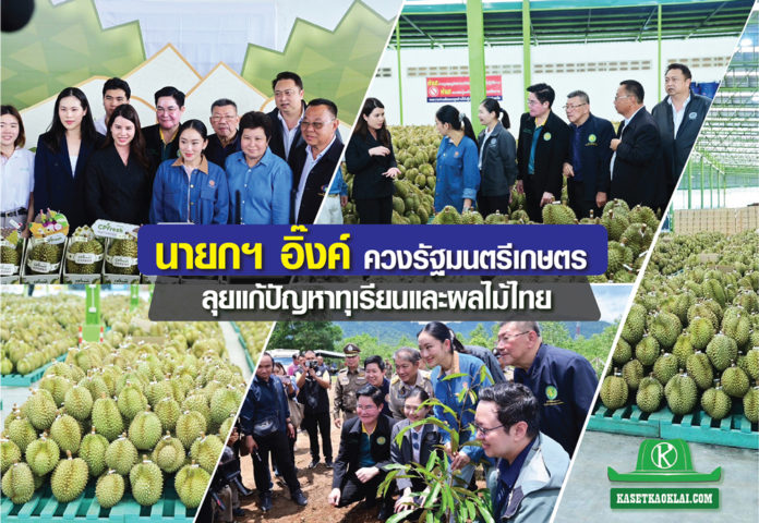 นายกฯ อิ๊งค์ ลุยเมืองจันท์ รับฟังปัญหาทุเรียนและทางออกผลไม้ไทยสู่ตลาดโลก