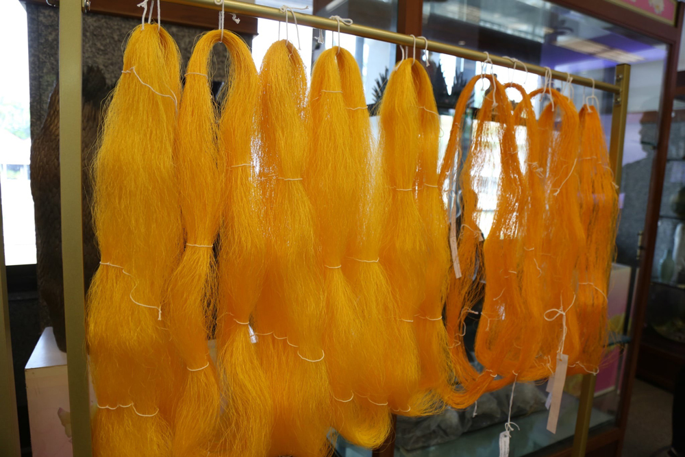 กรมหม่อนไหมเตรียมจัดงานประกวดเส้นไหมระดับประเทศ ประจำปี 2568