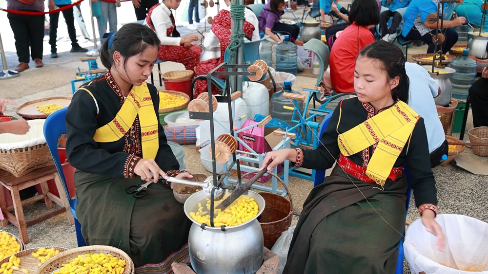 กรมหม่อนไหมเตรียมจัดงานประกวดเส้นไหมระดับประเทศ ประจำปี 2568