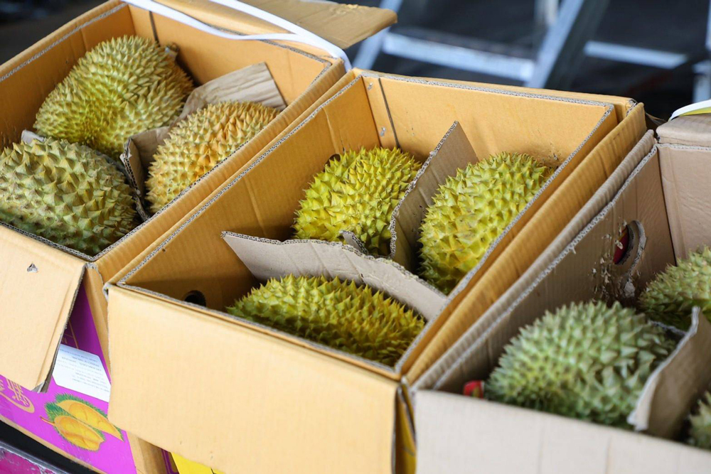ทุเรียนไทยวิกฤตครั้งนี้อาจ “เจ็บ” ในระยะสั้น แต่คือโอกาสสำคัญที่สุด