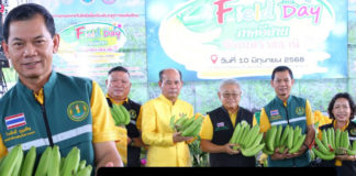 เกษตรกรไทยยกระดับ ผลิตกล้วยหอมทองคุณภาพสูงด้วยเทคโนโลยีรักษ์โลก ส่งตรงญี่ปุ่น