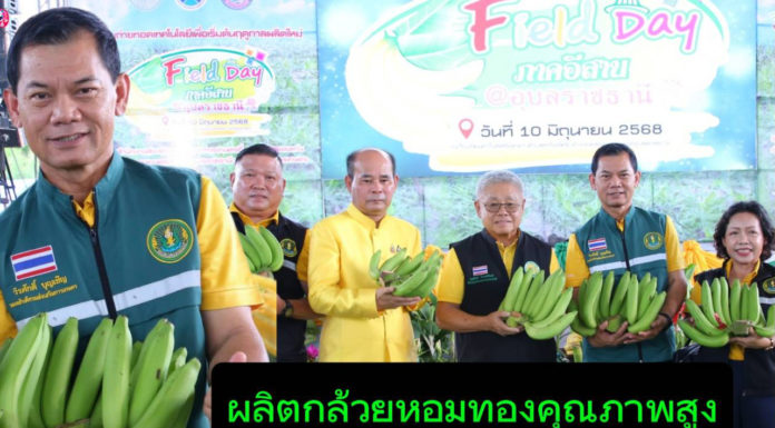 เกษตรกรไทยยกระดับ ผลิตกล้วยหอมทองคุณภาพสูงด้วยเทคโนโลยีรักษ์โลก ส่งตรงญี่ปุ่น