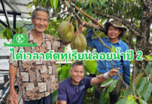 ทุเรียนลอยน้ำแพมาลัย ฝ่าฝนมาได้แค่ 2 ลูก พร้อมเปิดประมูลช่วยคุณตาปี๊ด...
