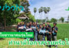 การทำนามีโอกาสรวยได้หรือไม่? สอบถามชาวนารุ่นใหม่โครงการคูโบต้ากล้าท้าปลูกปี 2 (ชมคลิป)