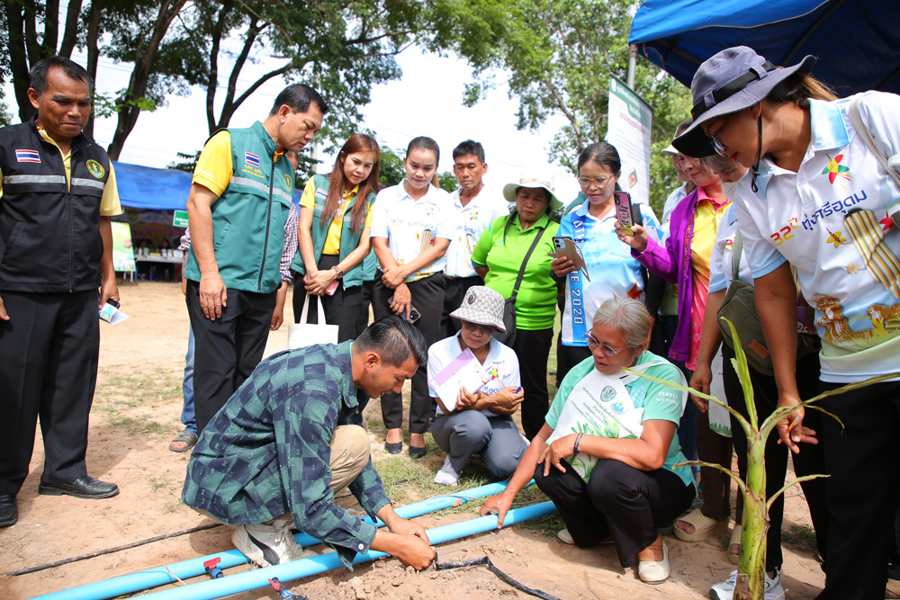 เกษตรกรไทยยกระดับ ผลิตกล้วยหอมทองคุณภาพสูงด้วยเทคโนโลยีรักษ์โลก ส่งตรงญี่ปุ่น
