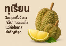ทุเรียนไทยวิกฤตครั้งนี้อาจ “เจ็บ” ในระยะสั้น แต่คือโอกาสสำคัญที่สุด