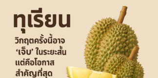 ทุเรียนไทยวิกฤตครั้งนี้อาจ “เจ็บ” ในระยะสั้น แต่คือโอกาสสำคัญที่สุด