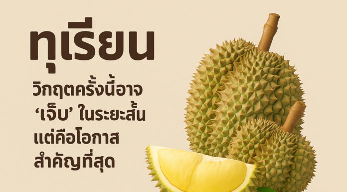 ทุเรียนไทยวิกฤตครั้งนี้อาจ “เจ็บ” ในระยะสั้น แต่คือโอกาสสำคัญที่สุด
