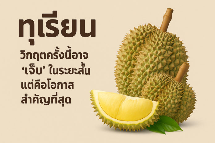ทุเรียนไทยวิกฤตครั้งนี้อาจ “เจ็บ” ในระยะสั้น แต่คือโอกาสสำคัญที่สุด