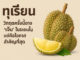 ทุเรียนไทยวิกฤตครั้งนี้อาจ “เจ็บ” ในระยะสั้น แต่คือโอกาสสำคัญที่สุด