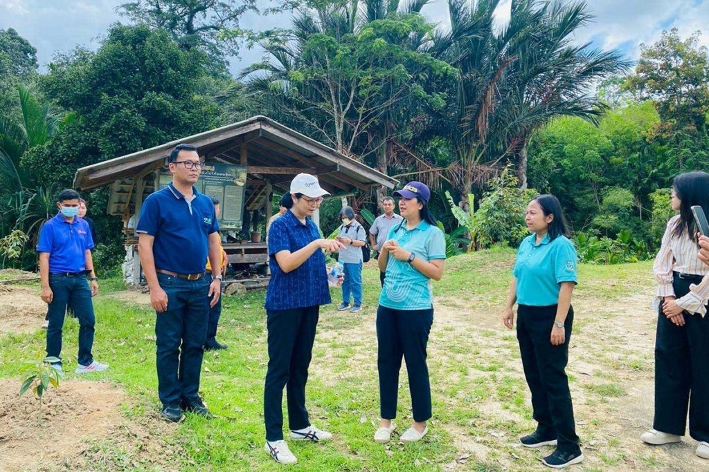 กรมวิชาการเกษตร ดันทุเรียนพื้นบ้านทองลุงศักดิ์พัทลุง จดทะเบียนพันธุ์พืชพื้นเมืองเฉพาะถิ่น รับสิทธิคุ้มครองพันธุ์