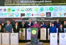 เกษตรฯ MOU ครั้งยิ่งใหญ่ ยกระดับกาแฟไทย ลดการนำเข้า ดันรายได้เกษตรกรโตอย่างยั่งยืน