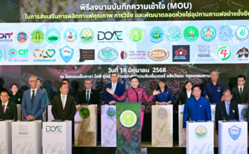 เกษตรฯ MOU ครั้งยิ่งใหญ่ ยกระดับกาแฟไทย ลดการนำเข้า ดันรายได้เกษตรกรโตอย่างยั่งยืน