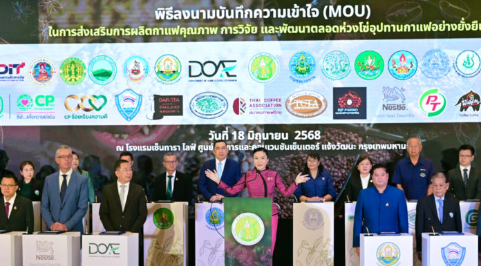 เกษตรฯ MOU ครั้งยิ่งใหญ่ ยกระดับกาแฟไทย ลดการนำเข้า ดันรายได้เกษตรกรโตอย่างยั่งยืน