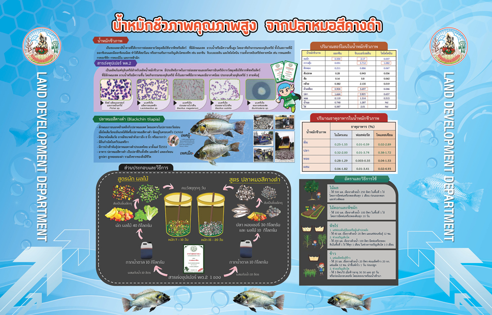 กรมพัฒนาที่ดิน เผยผลสำเร็จ “น้ำหมักชีวภาพสูตรปลาหมอคางดำ” ทำเกษตรกรยิ้ม ผลผลิตพุ่ง ลดต้นทุน เพิ่มรายได้