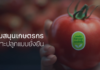 สยามคูโบต้าเปิดตัวหนังโฆษณา "Small Actions Change the World" จุดประกายพลังเล็กเพื่อโลกยั่งยืน