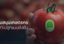สยามคูโบต้าเปิดตัวหนังโฆษณา "Small Actions Change the World" จุดประกายพลังเล็กเพื่อโลกยั่งยืน