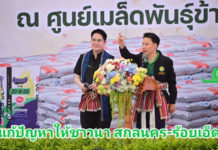 “อรรถกร-อัครา” ลงพื้นที่ “สกลนคร-ร้อยเอ็ด” Kick off โครงการเพิ่มประสิทธิภาพการผลิตข้าวของเกษตรกรผู้ประสบอุทกภัย ภายใต้โครงการเสริมสร้างศักยภาพการผลิตเมล็ดพันธุ์ข้าวของศูนย์ข้าวชุมชน ปี 2568
