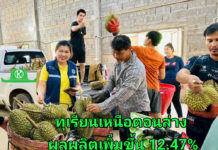 สศท.2 เกาะติดสถานการณ์ผลิตทุเรียนภาคเหนือตอนล่าง ปี 68 รวม 6 จังหวัด แตะ 55,000 ตัน เพิ่มขึ้น 12.47%