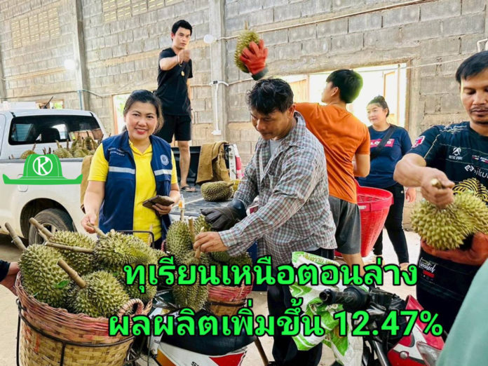 สศท.2 เกาะติดสถานการณ์ผลิตทุเรียนภาคเหนือตอนล่าง ปี 68 รวม 6 จังหวัด แตะ 55,000 ตัน เพิ่มขึ้น 12.47%
