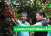 กรมส่งเสริมสหกรณ์ วางมาตรการรับมือผลผลิตผลไม้ปี 2568 พร้อมสนับสนุนรวบรวมและกระจายผลผลิต ผ่านสหกรณ์ เพิ่มช่องทางการตลาดทั้งในและต่างประเทศ ขับเคลื่อนเศรษฐกิจฐานรากอย่างยั่งยืน