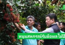 กรมส่งเสริมสหกรณ์ วางมาตรการรับมือผลผลิตผลไม้ปี 2568 พร้อมสนับสนุนรวบรวมและกระจายผลผลิต ผ่านสหกรณ์ เพิ่มช่องทางการตลาดทั้งในและต่างประเทศ ขับเคลื่อนเศรษฐกิจฐานรากอย่างยั่งยืน