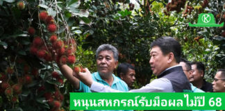 กรมส่งเสริมสหกรณ์ วางมาตรการรับมือผลผลิตผลไม้ปี 2568 พร้อมสนับสนุนรวบรวมและกระจายผลผลิต ผ่านสหกรณ์ เพิ่มช่องทางการตลาดทั้งในและต่างประเทศ ขับเคลื่อนเศรษฐกิจฐานรากอย่างยั่งยืน