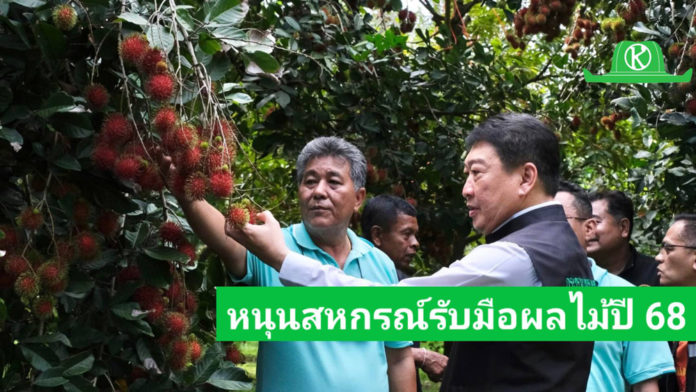 กรมส่งเสริมสหกรณ์ วางมาตรการรับมือผลผลิตผลไม้ปี 2568 พร้อมสนับสนุนรวบรวมและกระจายผลผลิต ผ่านสหกรณ์ เพิ่มช่องทางการตลาดทั้งในและต่างประเทศ ขับเคลื่อนเศรษฐกิจฐานรากอย่างยั่งยืน