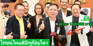 ส่งออกไก่พื้นเมืองมีชีวิตล็อตแรกไปอินโดนีเซีย เปิดประตูการค้าให้แก่สินค้าเกษตรมูลค่าสูงของไทยหลังมีแนวโน้ม ไก่สายพันธุ์พื้นเมือง ไทยได้รับความนิยมด้านกีฬาและวัฒนธรรม