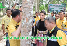 “รมว.อรรถกร” เปิดตัว “สวนยางอารยเกษตร” พัทลุงโมเดล ดึงนวัตกรรมแก๊สเอทธิลีน ร่วมกับติดระบบน้ำในสวนยางพารา เพิ่มความชุ่มชื้นและผลผลิตยาง