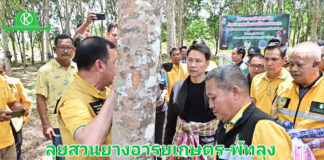 “รมว.อรรถกร” เปิดตัว “สวนยางอารยเกษตร” พัทลุงโมเดล ดึงนวัตกรรมแก๊สเอทธิลีน ร่วมกับติดระบบน้ำในสวนยางพารา เพิ่มความชุ่มชื้นและผลผลิตยาง